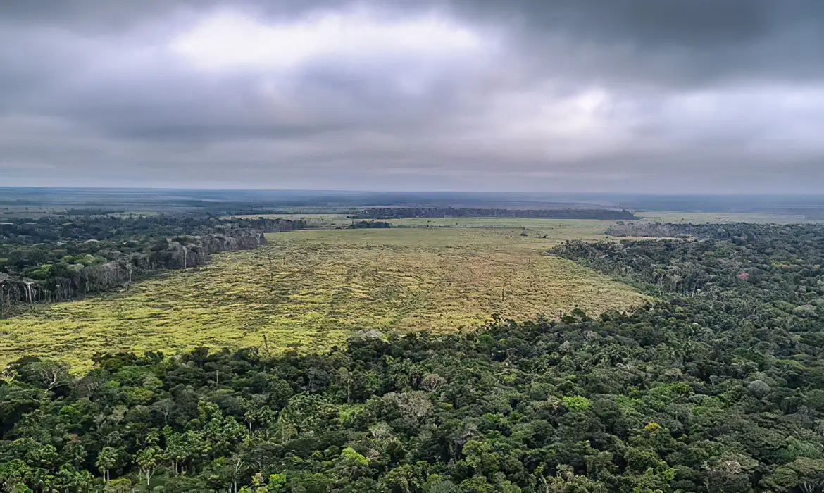 STF suspende trechos de PEC que restringia novas unidades de preservação ambiental