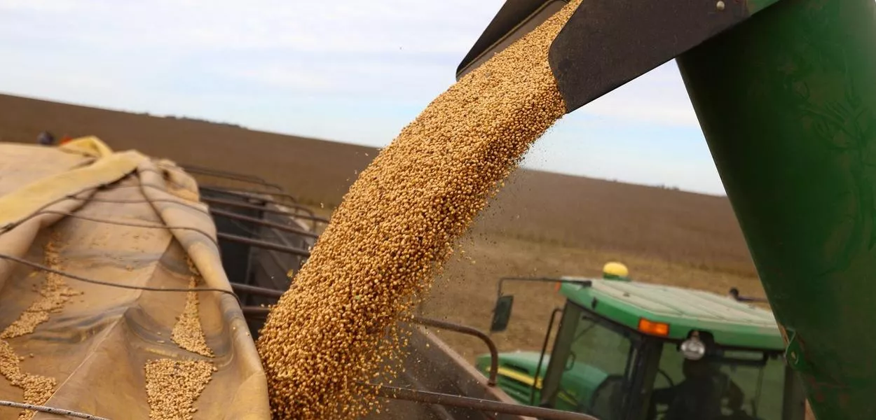 Plantio de soja no Brasil atinge 9,15% da área, diz Pátria AgroNegócios