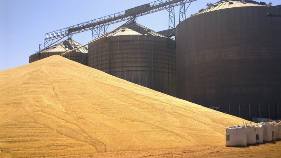 Após morte de trabalhador em silo de grãos, fazenda terá que adotar medidas urgentes de segurança