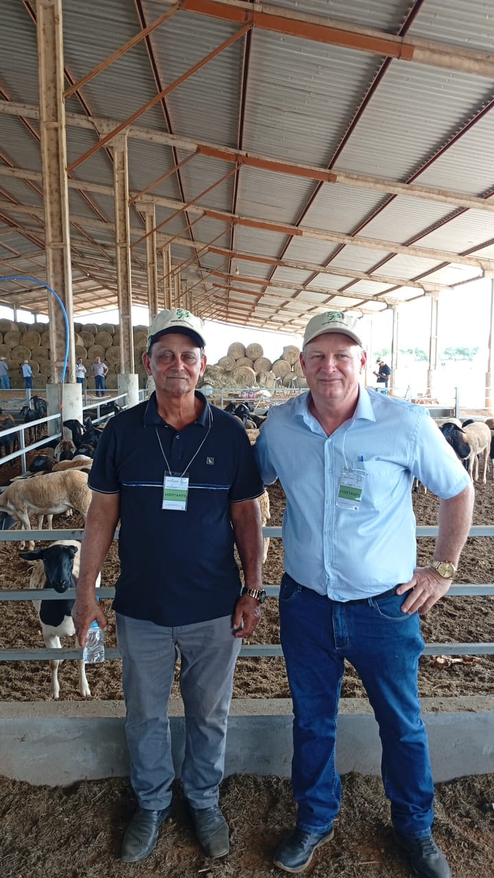 Itanhangá-MT: Vereador busca fortalecer cadeia da ovinocultura com apoio de produtores, Senar e novo frigorífico