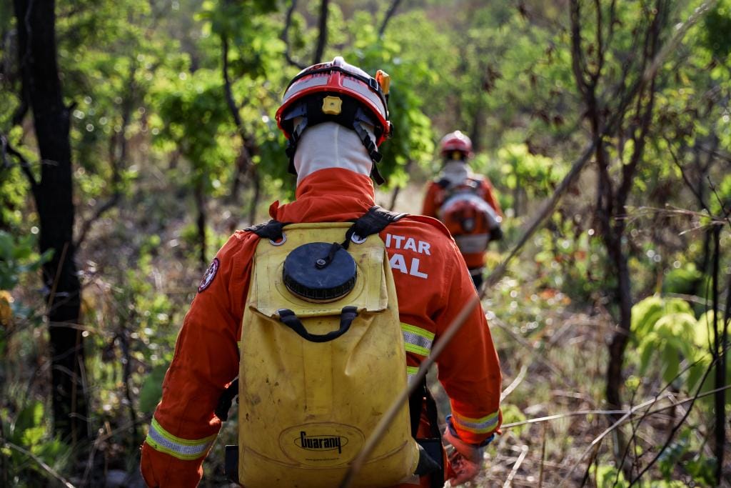 Corpo de Bombeiros combate incêndio criminoso no entorno de parque estadual; homem é preso