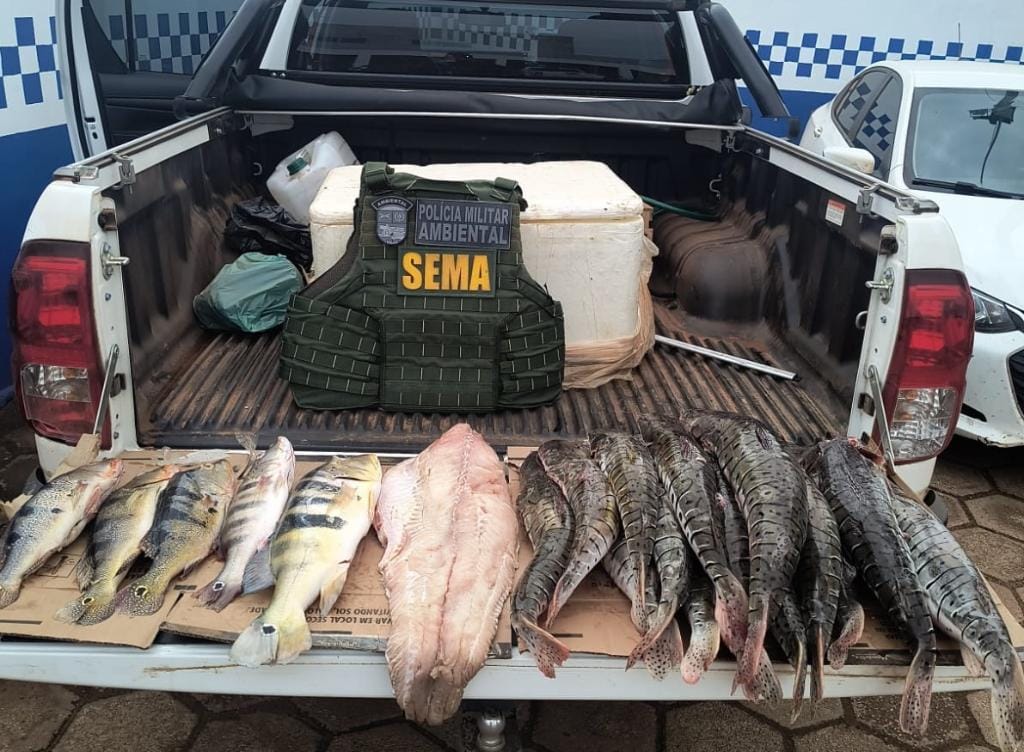 Fiscalização apreende 70 quilos de pescado irregular em Cuiabá e Várzea Grande