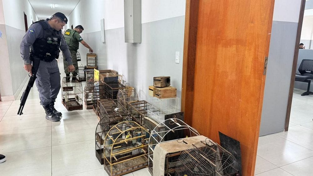 Força-tarefa cumpre mandados em Cuiabá em ação nacional de combate ao tráfico de animais silvestres