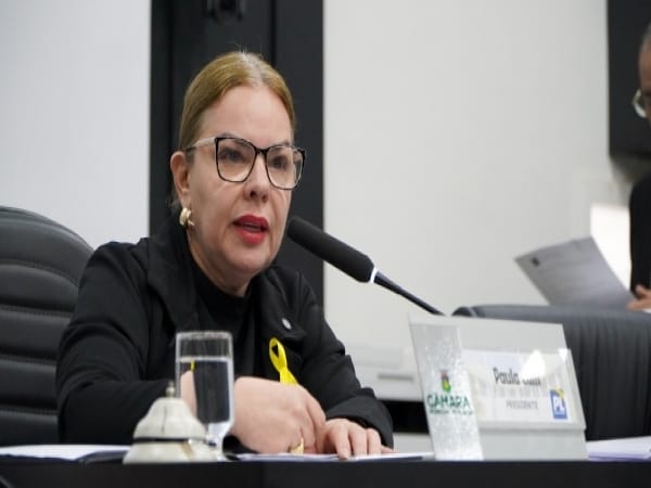 Presidente avalia punições a vereadores por xingamentos e brigas no plenário da Câmara da capital