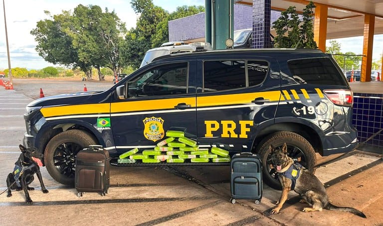 Traficante é presa com 20 kg de maconha em duas malas durante fiscalização em ónibus