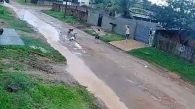 Câmera registra idoso sendo brutalmente atacado por dois pitbulls em MT