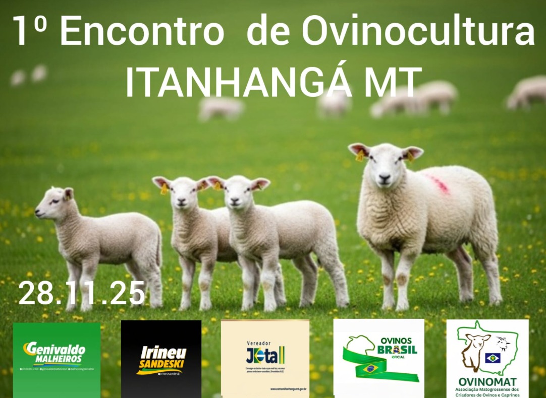 Itanhangá-MT: Ovinomat reforça a importância da organização da cadeia produtiva e convida produtores para o Dia de Campo em Itanhangá