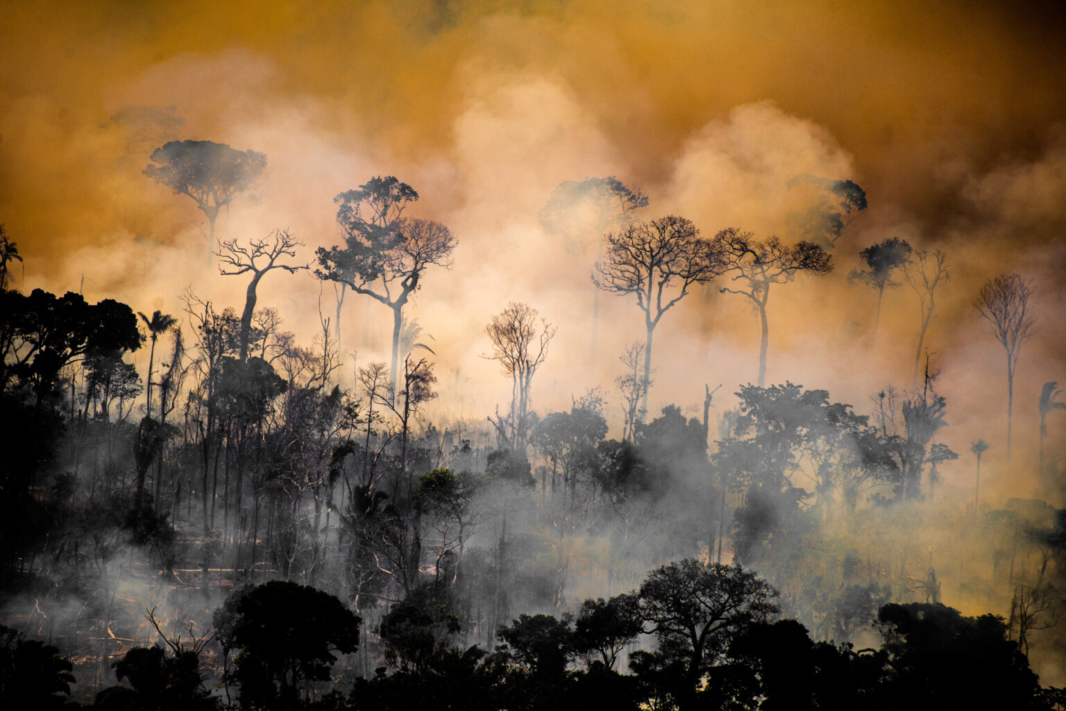 Mato Grosso apresenta alta poluição do ar e aquecimento mais rápido