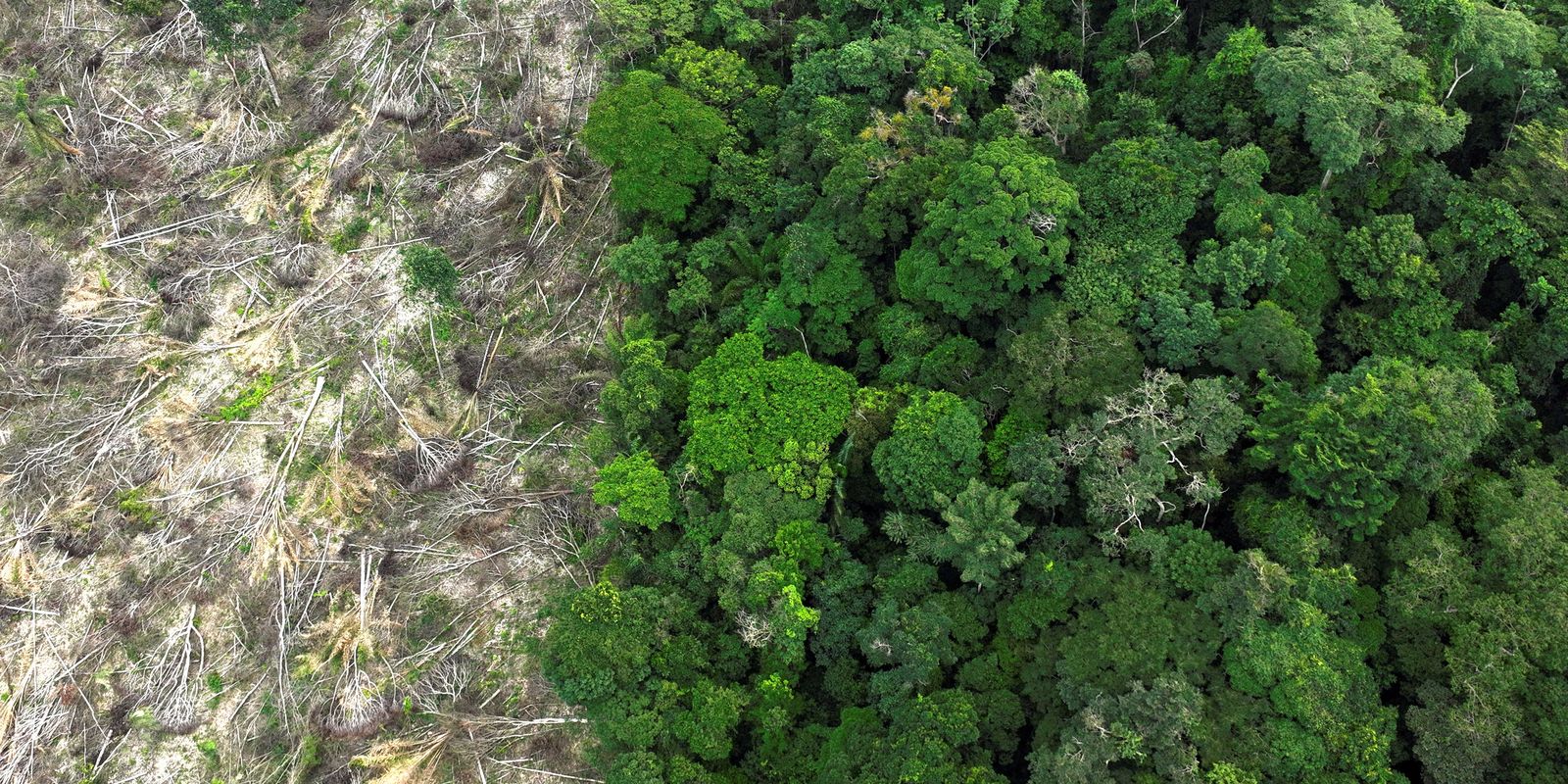 Municípios gastaram R$ 732 bilhões com desastres entre 2013 e 2024