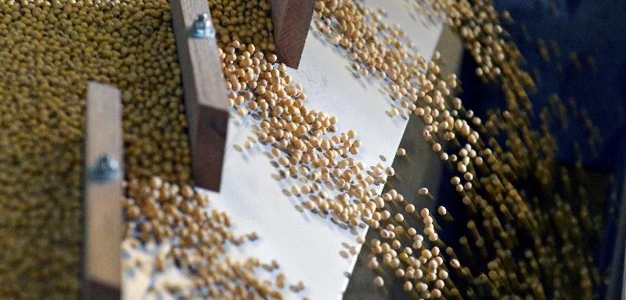 Colheita de soja do Brasil avança para 16%, aponta AgRural