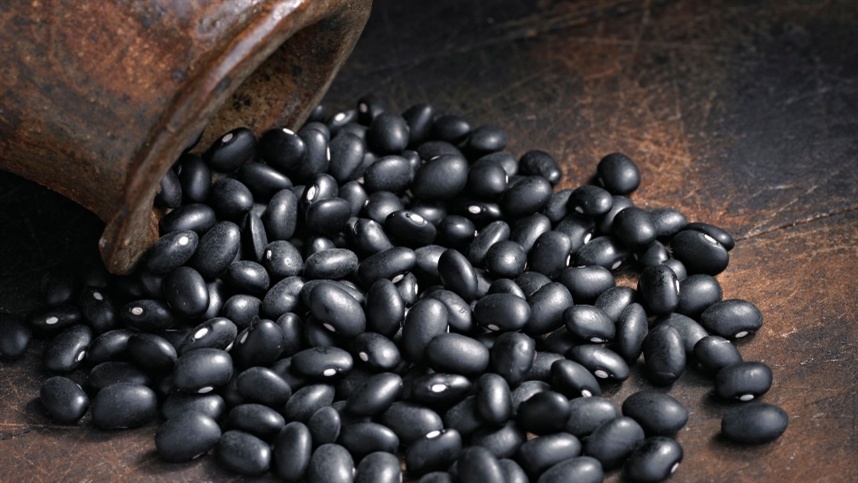 Exportações de feijão indicam mudança no perfil do mercado