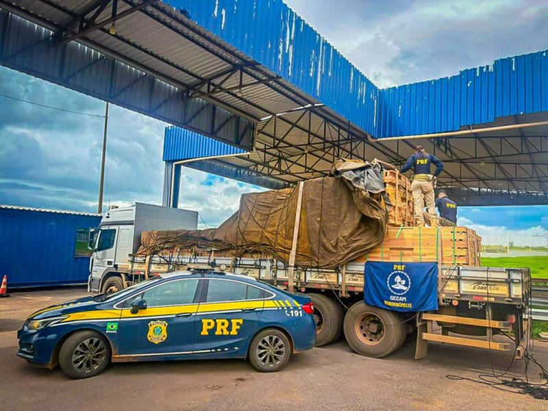 PRF intensifica combate a crimes ambientais e apreende grande volume de madeira nativa em Rondonópolis