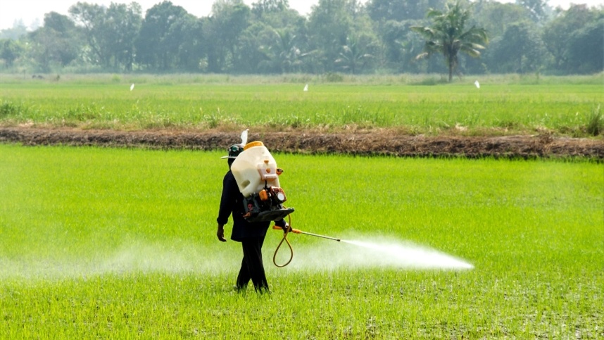 Diário Oficial traz prioridade para Programa de Redução de Agrotóxicos