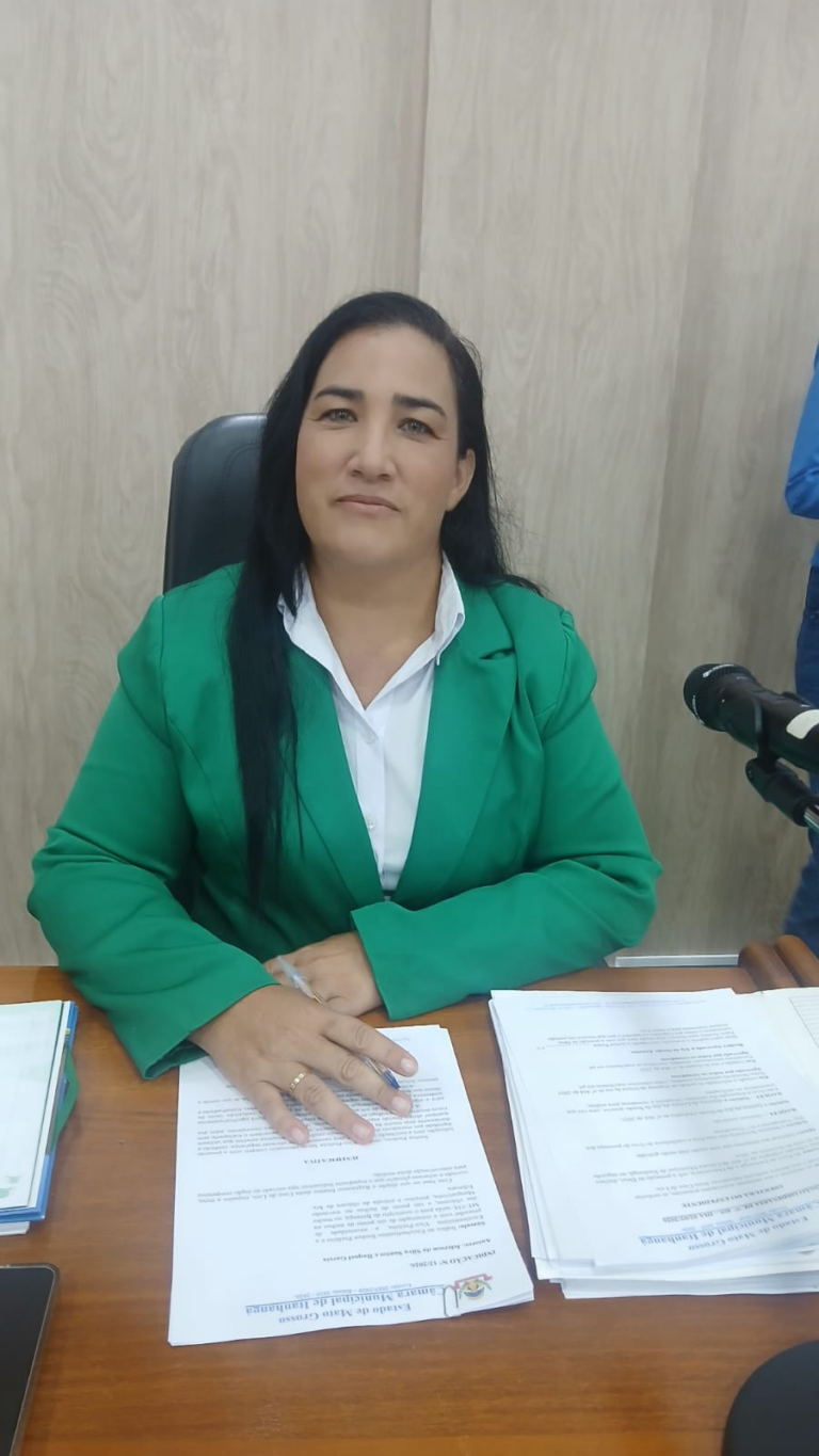 Itanhangá-MT: Vereadora propõe instalação de quebra-molas em frente à escola e praça na cidade Alta