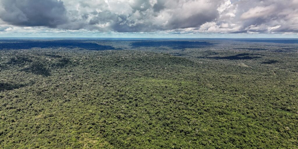 Adversária em campo, Noruega é parceria de ações ambientais do Brasil