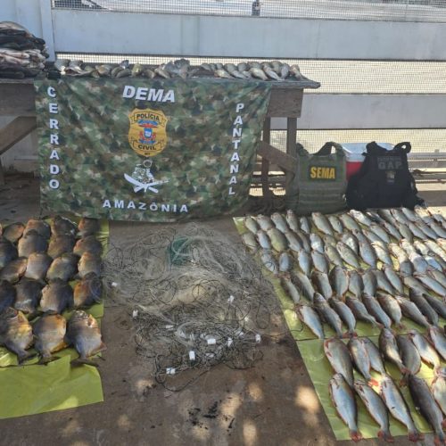 Ação integrada combate pesca predatória no rio Cuiabá