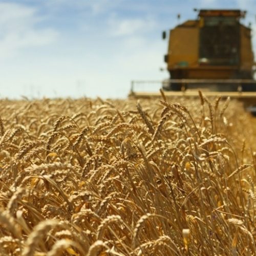 Cuidado com máquinas impacta resultados