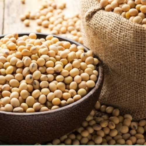 Soja: farelo valoriza e óleo recua em Chicago