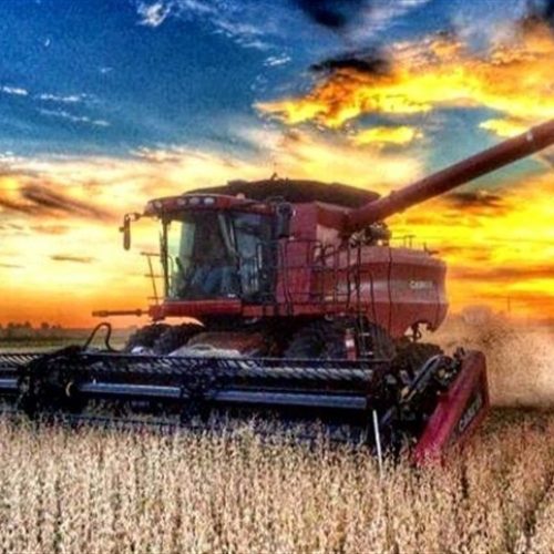 Nova tecnologia promete mudar compra e venda de máquinas