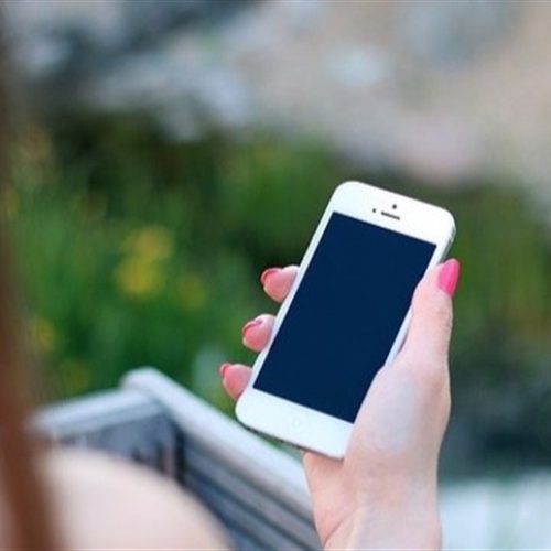 App conecta produtor a cooperativas 