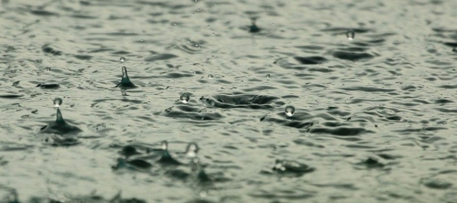 Proteção de cultivos exige visão além do clima