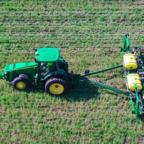 Médio-Norte lidera ritmo do plantio de soja em Mato Grosso