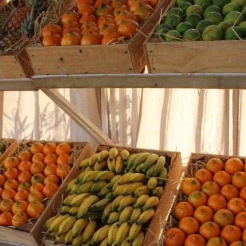 Tecnologia mira maturação mais uniforme de frutas