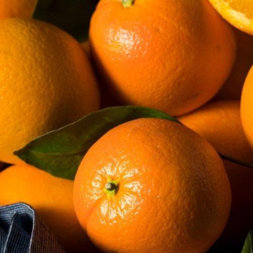 Chuvas trazem otimismo, mas ventos fortes preocupam