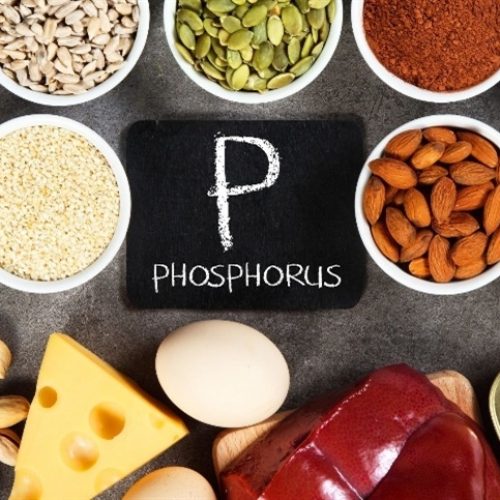 Estratégia maximiza o uso do fósforo