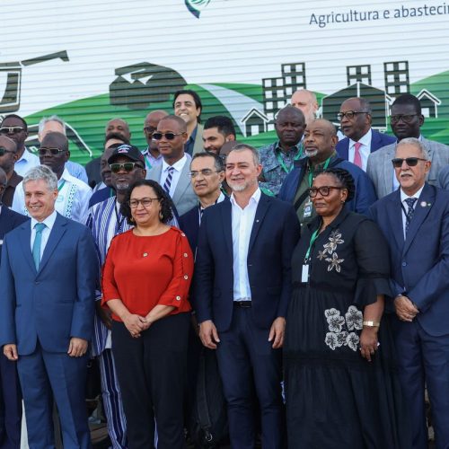 Brasil apresenta modelo de segurança alimentar a países africanos