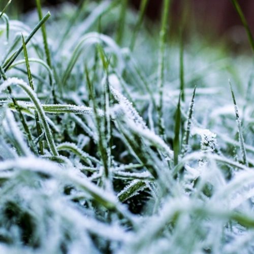 Onda de frio: veja onde pode fazer até -6°C no Brasil