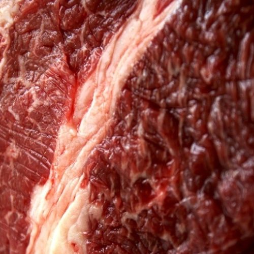 Crise ameaça produção de proteína animal portugues