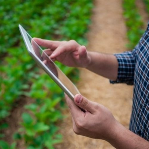 Segurança no campo exige gestão integrada