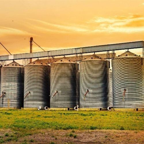 Safra de 360 milhões de toneladas amplia pressão sobre os silos brasileiros
