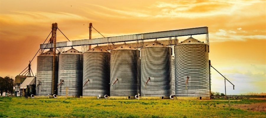 Safra de 360 milhões de toneladas amplia pressão sobre os silos brasileiros