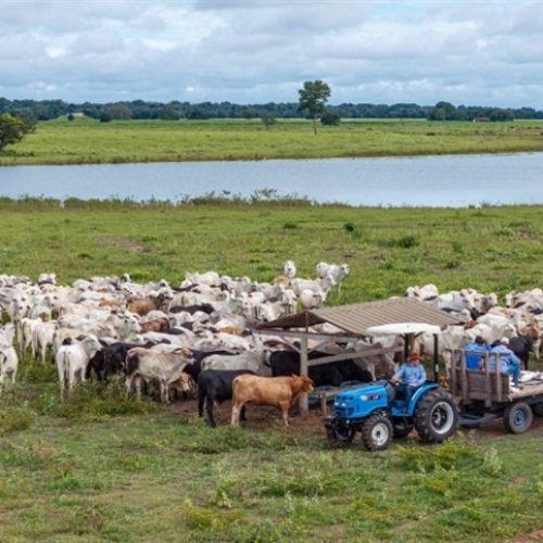 Tratores LS destacam tecnologia e força na 48ª Expointer
