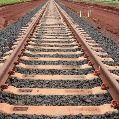 Governo quer leiloar ferrovia EF-118 ainda neste ano, diz ministro
