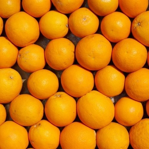 Preço da laranja cai após recuperação da oferta