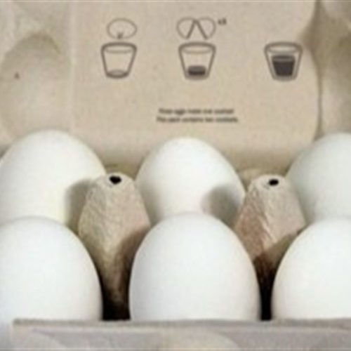 Telemetria reduz perdas e custos no transporte de ovos