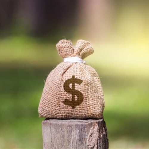 Seguro Penhor Rural pode significar proteção financeira