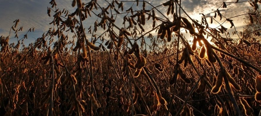 INCENTIVO AO ESPORTE: Governador recebe tenista mato-grossense que vai disputar torneios na Europa com apoio do Governo de MT