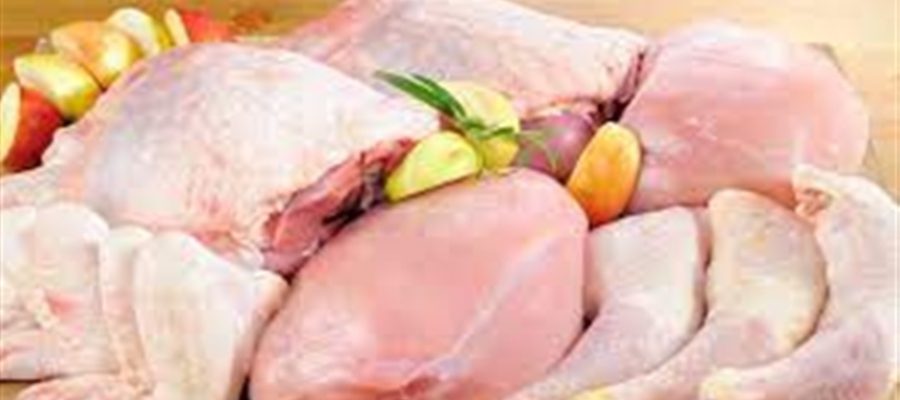 Preço do frango pode cair após caso de Newcastle em SC