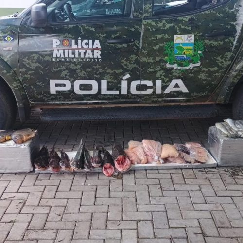 OPERAÇÃO PIRACEMA: Batalhão Ambiental da PM apreende 52 quilos de pescado irregular em Várzea Grande