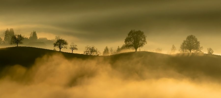 Frio intenso mantém geadas no Sul e nova frente fria chega na segunda-feira