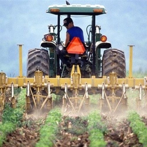 RN: eventos fortalecem agricultura familiar e cidadania rural em São Paulo do Potengi