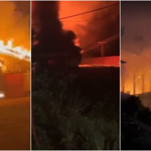 Incêndio em aviário mata 21 mil pintinhos no Paraná