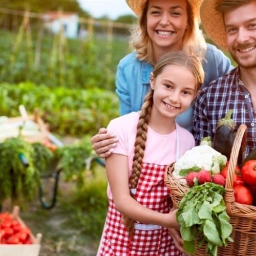 O que o mundo pode copiar da nossa agricultura familiar?