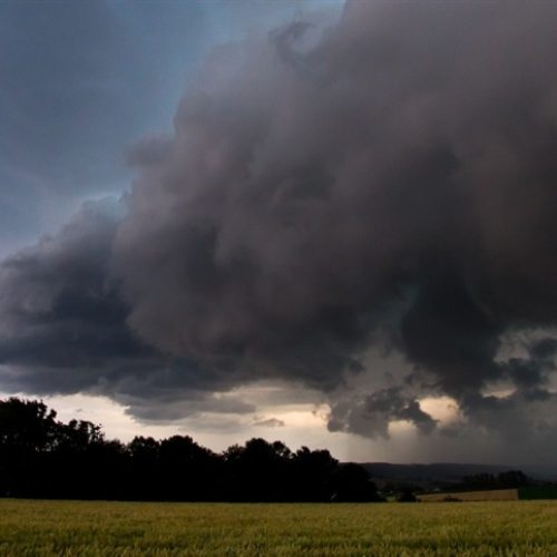 Clima beneficia safra de inverno na região Sul