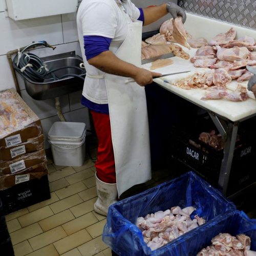 Prazo de 28 dias para Brasil ficar livre da gripe aviária começa hoje