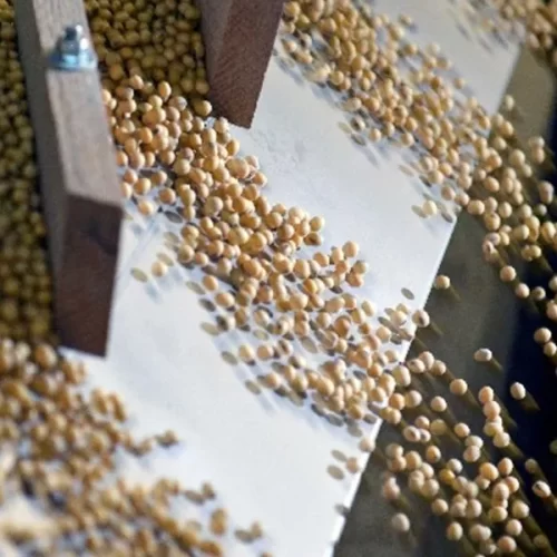 Colheita de soja do Brasil avança para 16%, aponta AgRural